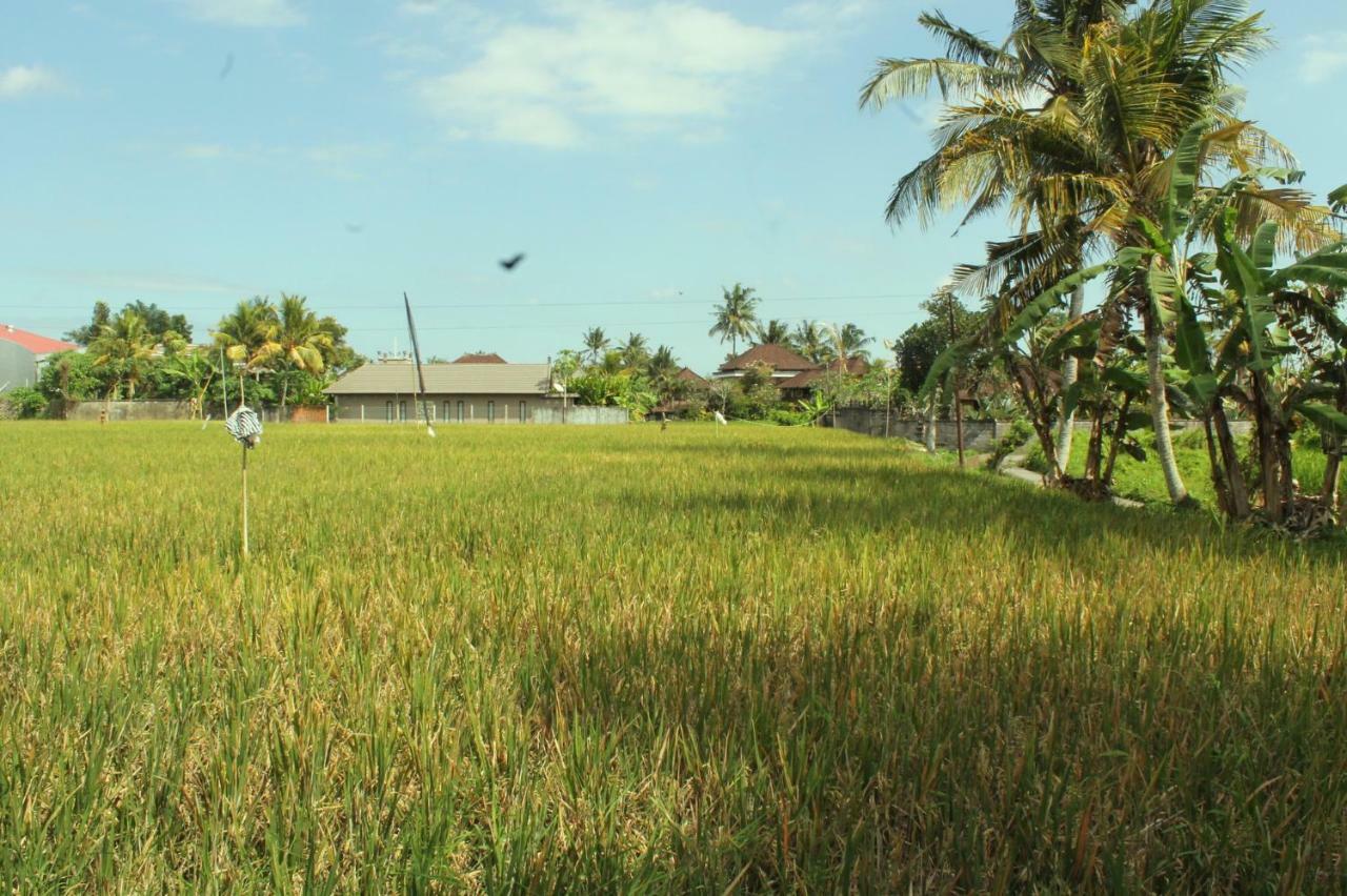 Ubud River Campuhan Villa Kültér fotó