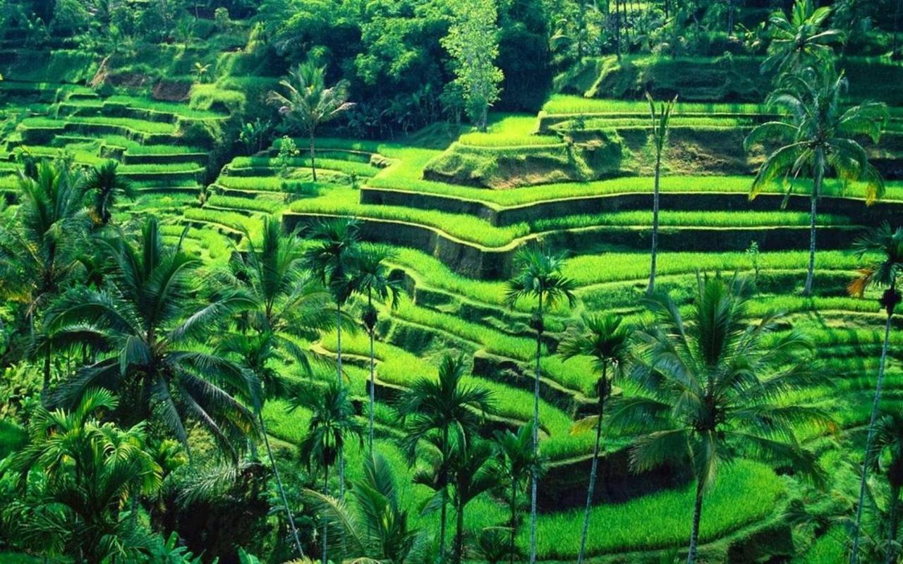 Ubud River Campuhan Villa Kültér fotó